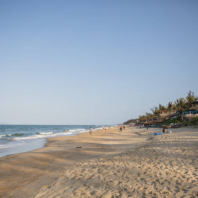 Sandy beaches - Nature in Hoi An and Quang Nam
