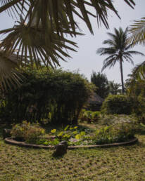 Dry season in Hoi An - Weather in Hoi An and Quang Nam