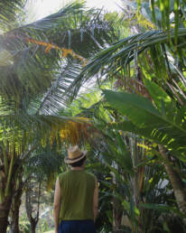 Dry season in Hoi An - Weather in Hoi An and Quang Nam
