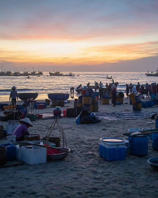 Tam Tien Fish Market - Day trip from Hoi An, Quang Nam
