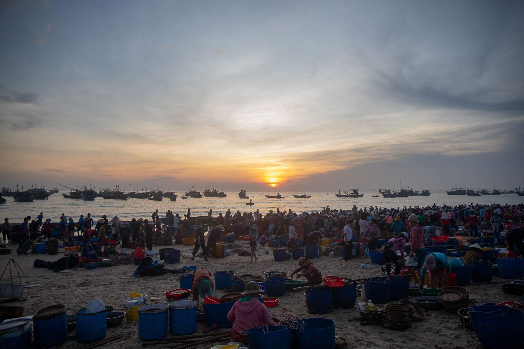 Chợ cá Tam Tiến bắt đầu họp từ khoảng ba, bốn giờ sáng.