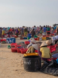 Tam Tien Fish Market - Nui Thanh District - Quang Nam Province